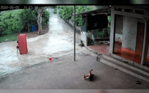 Clip: Trời đột ngột mưa lớn, bé gái có hành động đáng khen khi mẹ vắng nhà