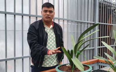 Đại gia lan đột biến nổi tiếng với thương vụ giao dịch hàng trăm tỉ đồng vừa bị bắt vì buôn than lậu