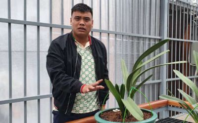 Vụ bắt đại gia lan đột biến ở Quảng Ninh: Phát hiện 'thế giới ngầm' buôn lậu hàng triệu tấn than
