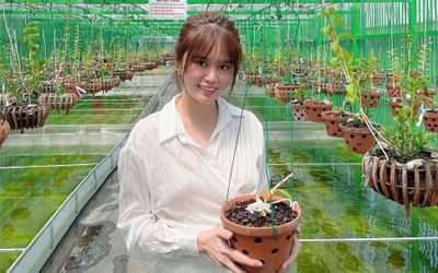 Nghệ nhân Phạm Hải Yến và bí quyết chơi lan thành công