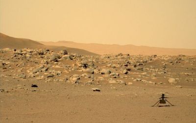 NASA tạm dừng toàn bộ sứ mệnh trên sao Hỏa