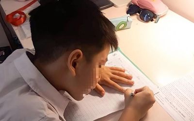 Trường học không giao bài tập Tết, phụ huynh xin cô giao bài cho con