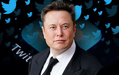 Elon Musk lần đầu nhận sai kể từ khi nắm quyền Twitter