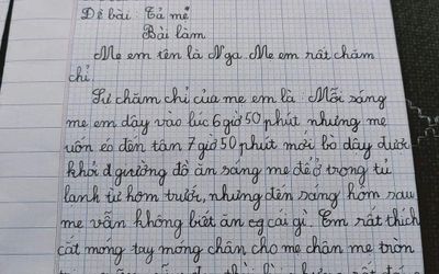 Bé gái làm bài văn tả về mẹ khiến dân mạng cười ngất: Tưởng là khen nhưng hóa ra lại là chê!