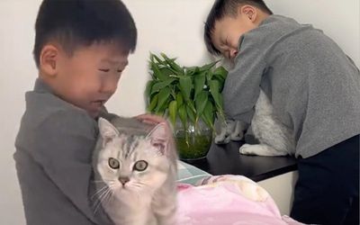 Cậu bé ôm chặt mèo cưng, nức nở: 'đừng rụng lông nữa, anh xin em đấy' và lý do đẫm nước mắt phía sau