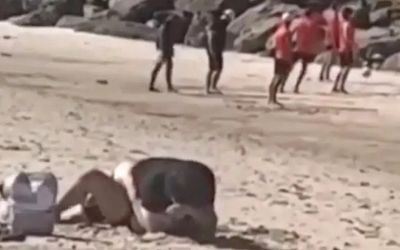 'Mây mưa' giữa bãi biển đông đúc, cặp đôi càng gây phẫn nộ khi hành sự bất chấp có mặt của trẻ nhỏ