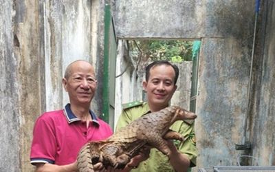 Nghe tiếng động lạ trên mái tôn, người dân leo lên kiểm tra liền phát hiện điều bất ngờ