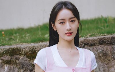 'Lăm le' quay lại Cbiz sau scandal trốn thuế, Viên Băng Nghiên bị netizen tẩy chay không thương tiếc
