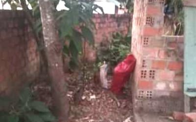 Bao tải màu đỏ ở sau vườn nhà và cảnh tượng kinh hãi chứa đựng bên trong