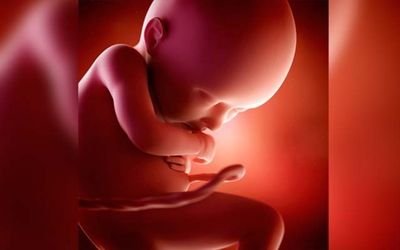 Hy hữu: Phát hiện thai nhi còn sống trong hộp sọ bé 1 tuổi