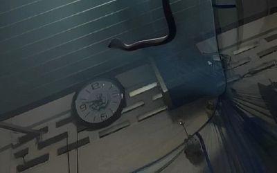 Nhìn lên khung màn lúc chuẩn bị đi ngủ, chủ nhà bị dọa 'chết khiếp' bởi thứ đen thui này