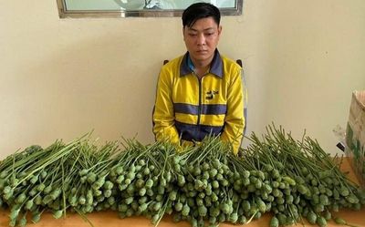 Ung dung mang hơn 5kg cây anh túc bày bán ở cổng trường đại học, thanh niên nhận cái kết thích đáng