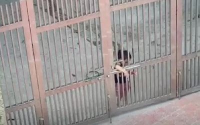 Cô bé nhỏ xíu cứ bị mẹ mắng là... bỏ về nhà ngoại khiến mẹ bất lực: Ai bảo lấy chồng gần là sướng!