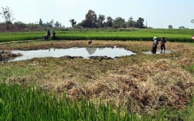 Sau 4 ngày mất tích, thi thể bé trai được phát hiện ở nơi không ngờ, sốc nặng trước tình trạng tử vong