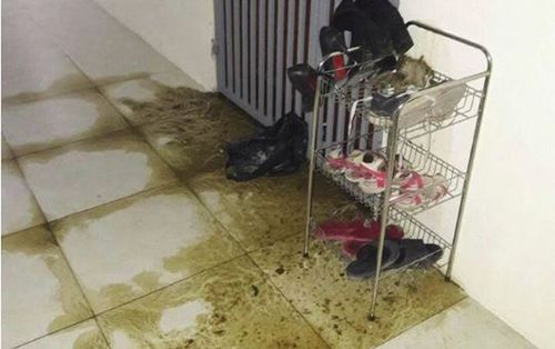 Nghệ An: Kẻ xấu ném chất thải vào nhà dằn mặt… phóng viên vì viết bài điều tra?
