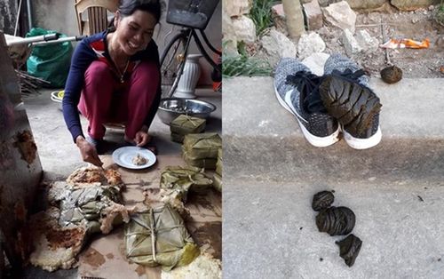 Thử thách xem ai nhịn nổi cười với những bức ảnh siêu hài hước dịp Tết Kỷ Hợi 2019