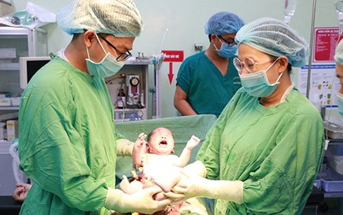 Những 'bé heo vàng' đầu tiên chào đời năm Kỷ Hợi