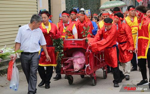 Hàng trăm người dân kéo đến đình làng ở Bắc Ninh xem chém lợn
