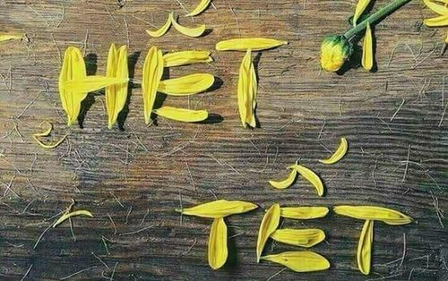 Dân tình than ngắn thở dài vì hết Tết: 9 ngày trôi nhanh vèo, chưa gì lại phải đi làm trở lại
