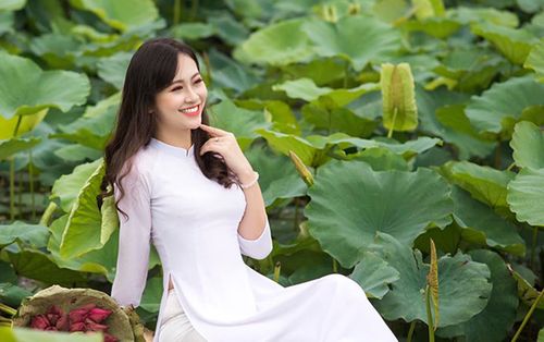 Hoa khôi Imiss Thăng Long thả dáng với sen đầu mùa