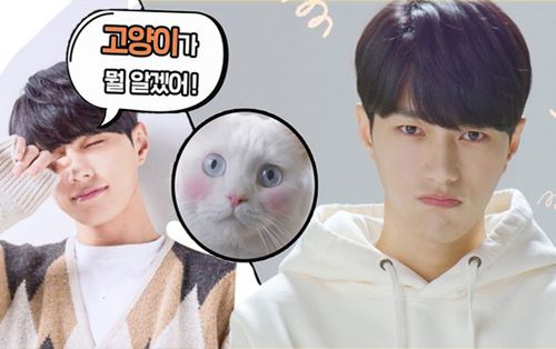 'Meow, Chàng Trai Bí Ẩn’ - Khi 'boss' hóa thành mỹ nam để chống ế cho 'sen'