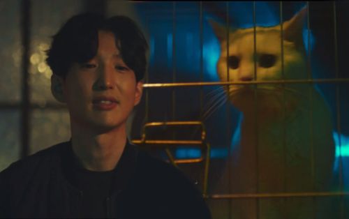 Tập 13 'Meow, Chàng trai bí ẩn': Chú mèo L (Infinite) chiến đấu với kẻ bắt cóc