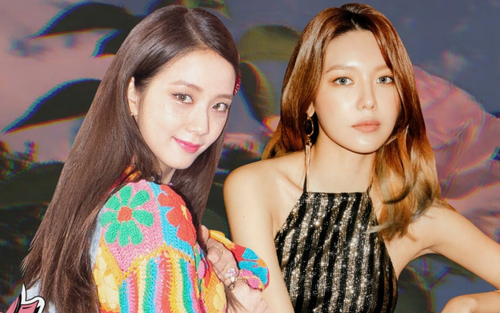 Khoảnh khắc fan share 'rần rần': Sooyoung (SNSD) bày tỏ cảm giác 'phát ngất' trước Jisoo (BlackPink) vì...