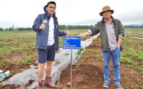 Cận cảnh bầu Đức, Kiatisak, Công Phượng đi trồng cây sầu riêng