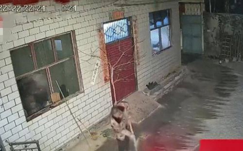Báo với bố mẹ ngày về quê ăn Tết, con trai mở camera trước nhà ra xem thì nghẹn ngào khi thấy cảnh này