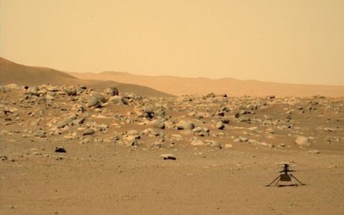 NASA tạm dừng toàn bộ sứ mệnh trên sao Hỏa