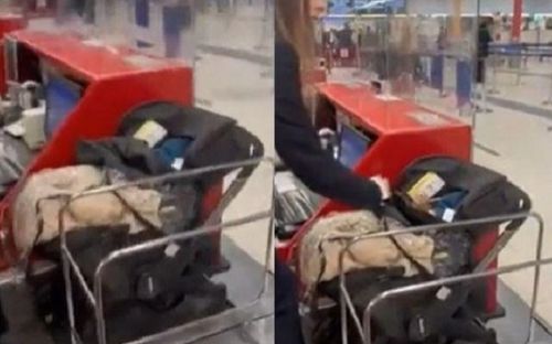 Quên mua vé máy bay cho con, cặp vợ chồng bỏ luôn đứa trẻ sơ sinh ở lại rồi ung dung khởi hành