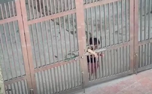Cô bé nhỏ xíu cứ bị mẹ mắng là... bỏ về nhà ngoại khiến mẹ bất lực: Ai bảo lấy chồng gần là sướng!