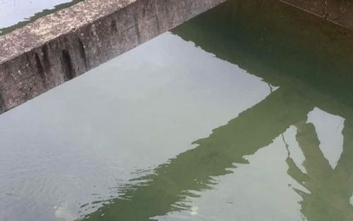 Chàng trai 19 tuổi rời nhà rồi 'mất tích', 2 ngày sau thi thể được tìm thấy ở nơi không thể ngờ